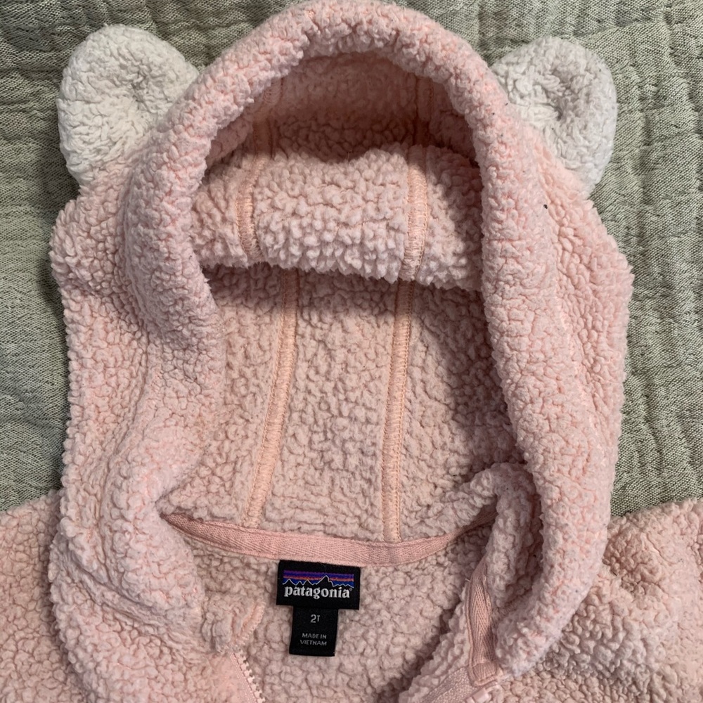Patagonia Toddler Jacket